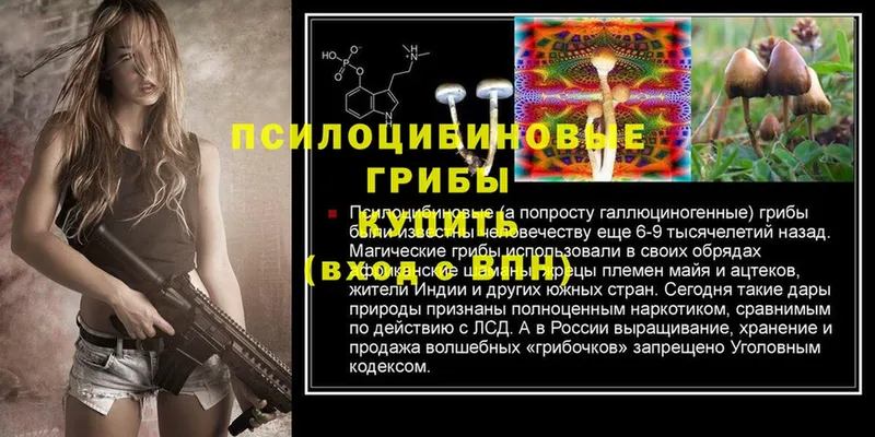 Псилоцибиновые грибы Magic Shrooms  где купить наркотик  Малая Вишера 